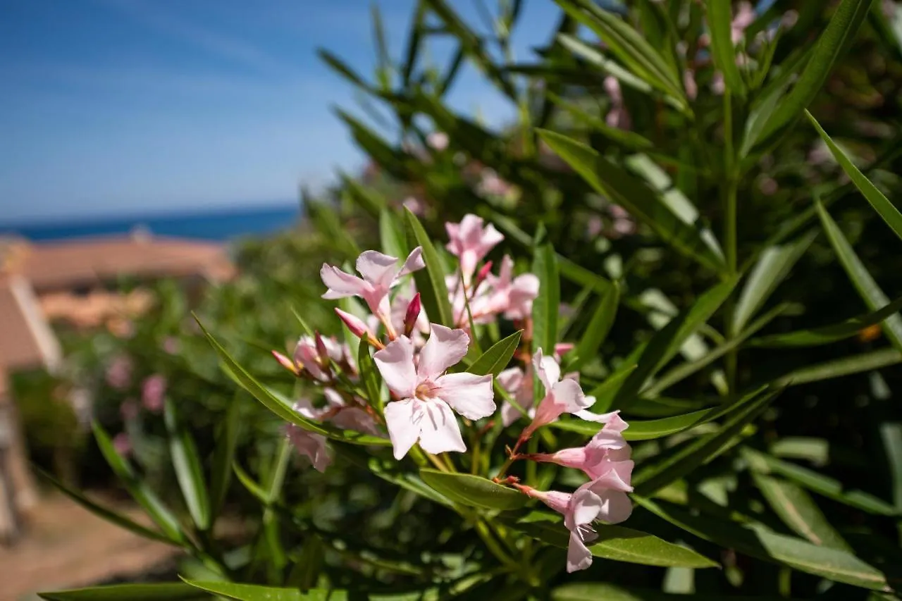Villetta Residence Porto Corallo Villaputzu Holiday home